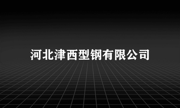 河北津西型钢有限公司