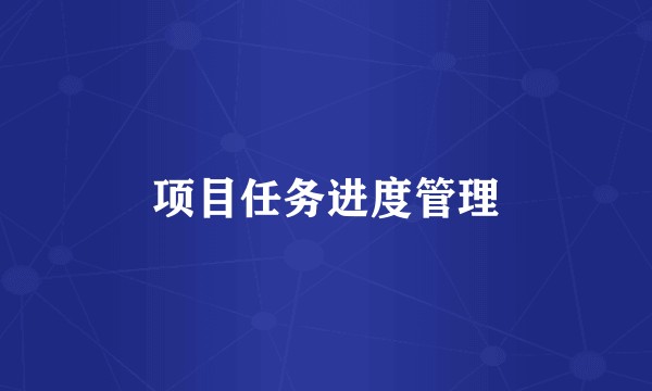 项目任务进度管理