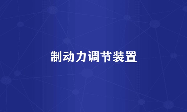 制动力调节装置