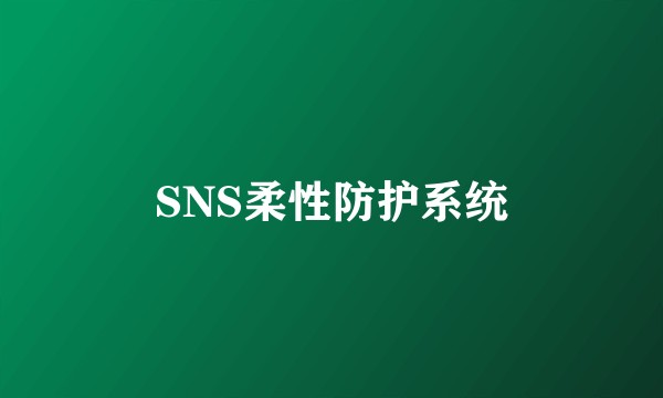 SNS柔性防护系统
