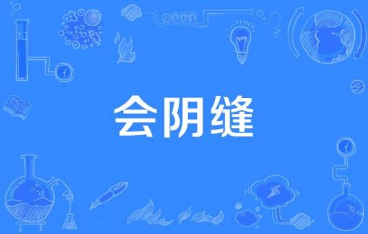 会阴缝