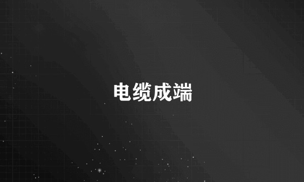 电缆成端