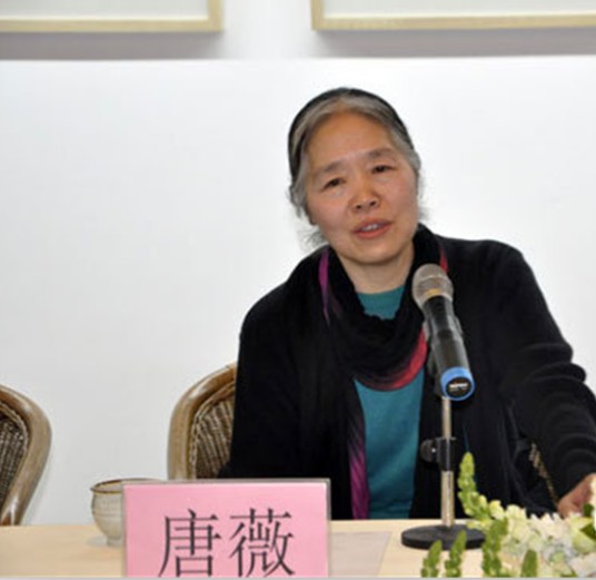 唐薇（清华大学美术学院教授）