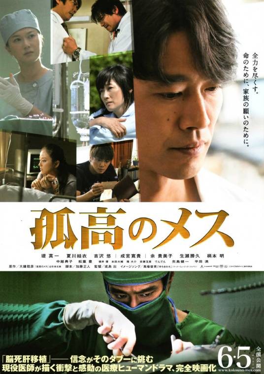 孤高的手术刀(日本2010年堤真一主演的剧情电影)