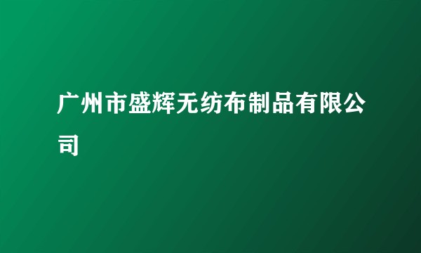 广州市盛辉无纺布制品有限公司