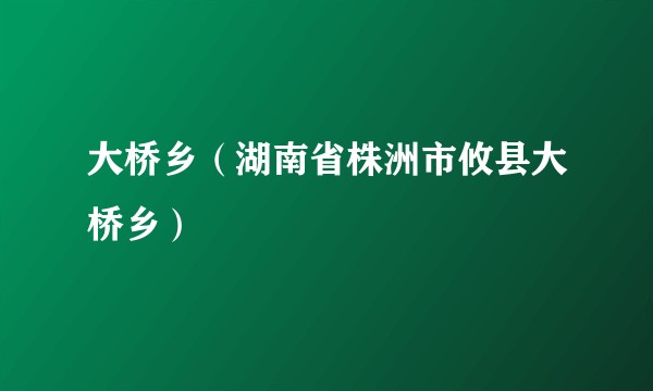 大桥乡（湖南省株洲市攸县大桥乡）