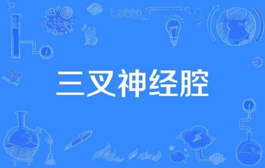 三叉神经腔