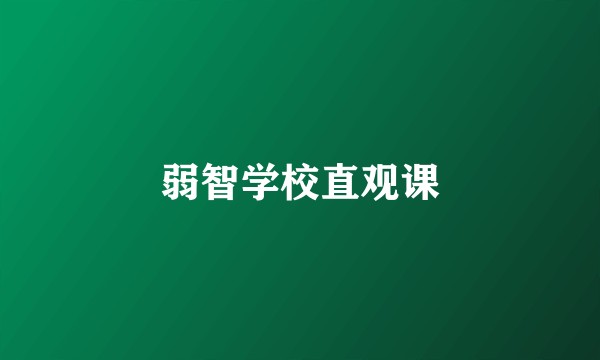 弱智学校直观课