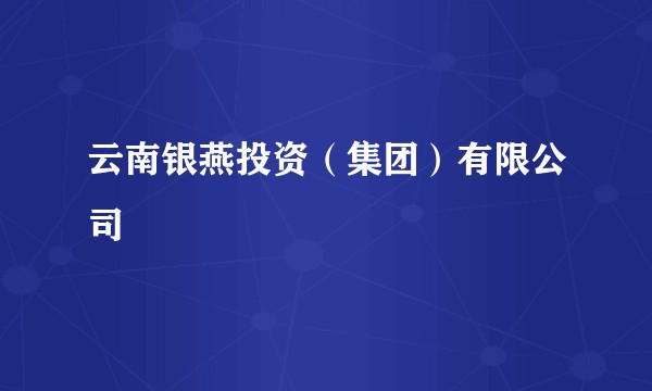 云南银燕投资（集团）有限公司