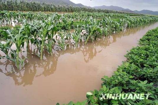 南山社区(浙江省定海区双桥镇南山社区)