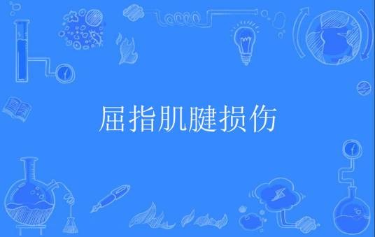屈指肌腱损伤