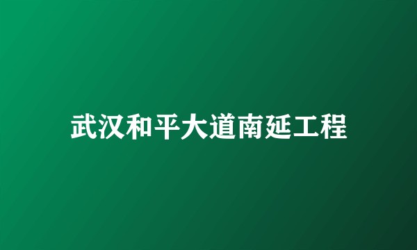 武汉和平大道南延工程