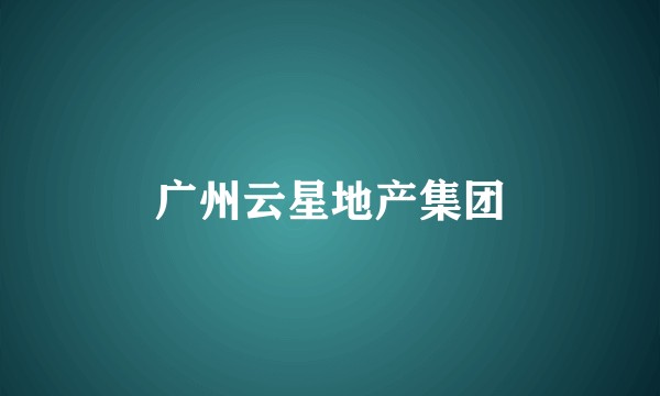 广州云星地产集团