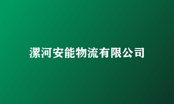 漯河安能物流有限公司