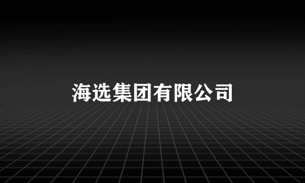 海选集团有限公司
