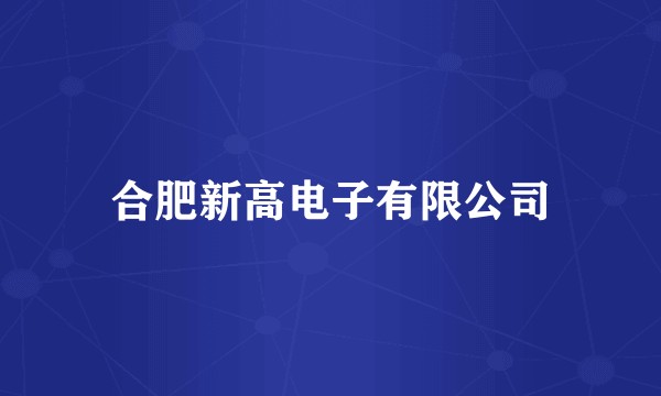 合肥新高电子有限公司