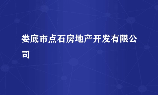 娄底市点石房地产开发有限公司