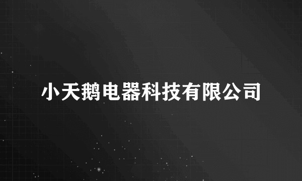 小天鹅电器科技有限公司