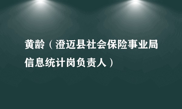 黄龄（澄迈县社会保险事业局信息统计岗负责人）