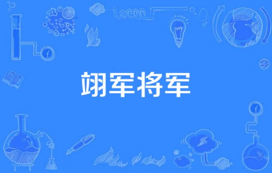 翊军将军