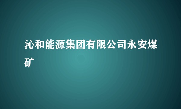 沁和能源集团有限公司永安煤矿