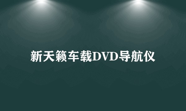 新天籁车载DVD导航仪