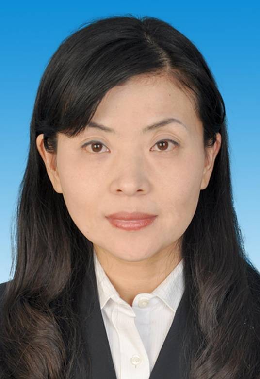 孙玉华(北京市顺义区南彩镇纪委书记)