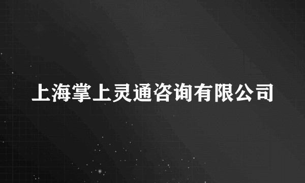 上海掌上灵通咨询有限公司