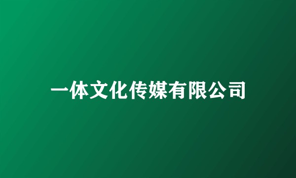 一体文化传媒有限公司