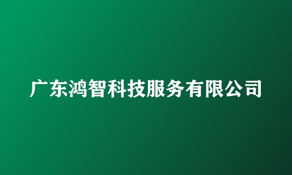 广东鸿智科技服务有限公司
