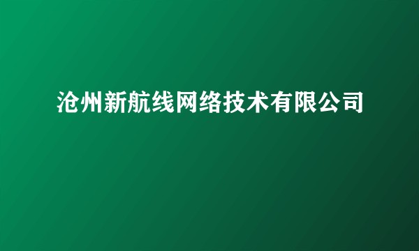 沧州新航线网络技术有限公司