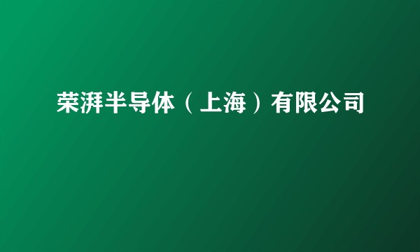 荣湃半导体（上海）有限公司