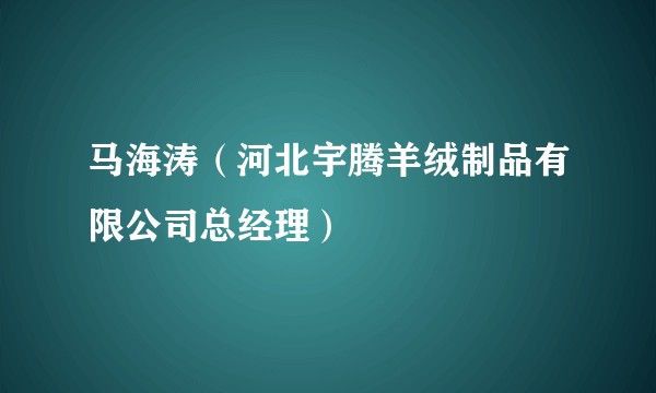 马海涛（河北宇腾羊绒制品有限公司总经理）