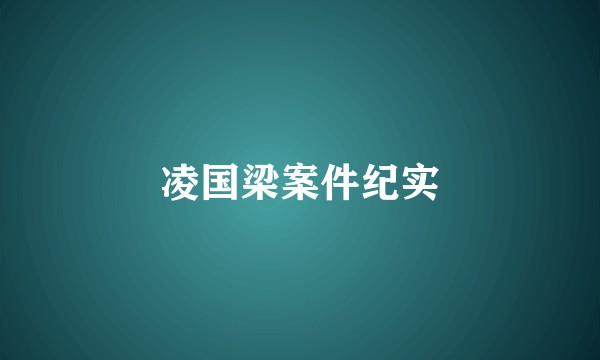 凌国梁案件纪实