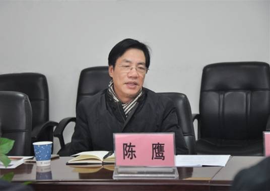 陈鹰（浙江工业大学原副校长）