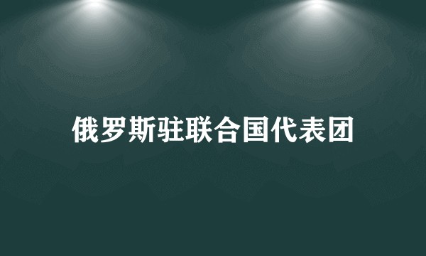 俄罗斯驻联合国代表团