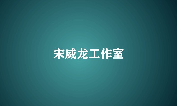 宋威龙工作室