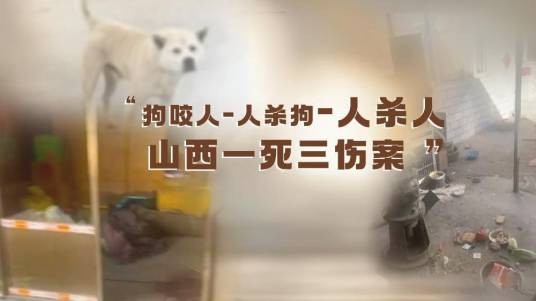 1·30长治狗咬人引发的血案