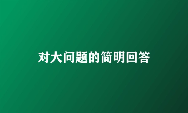 对大问题的简明回答