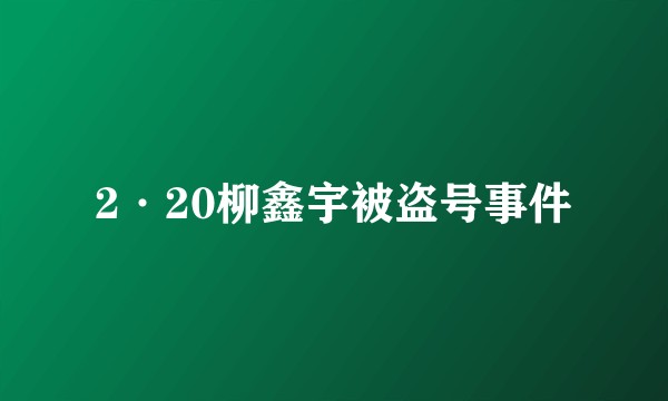 2·20柳鑫宇被盗号事件