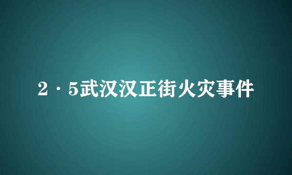 2·5武汉汉正街火灾事件