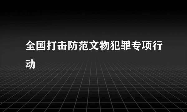 全国打击防范文物犯罪专项行动