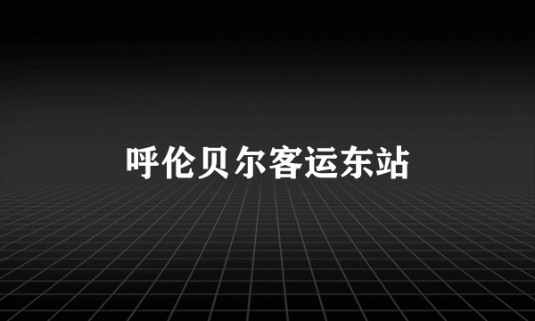 呼伦贝尔客运东站