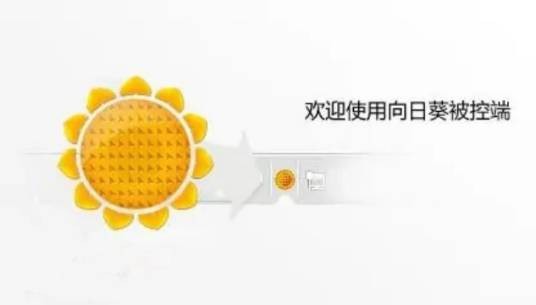 向日葵远程控制程序