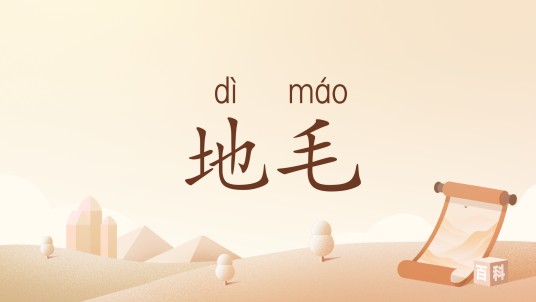 地毛