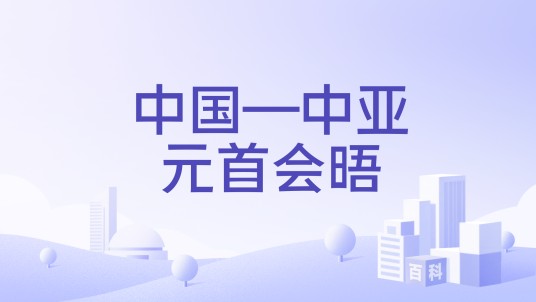 中国—中亚元首会晤