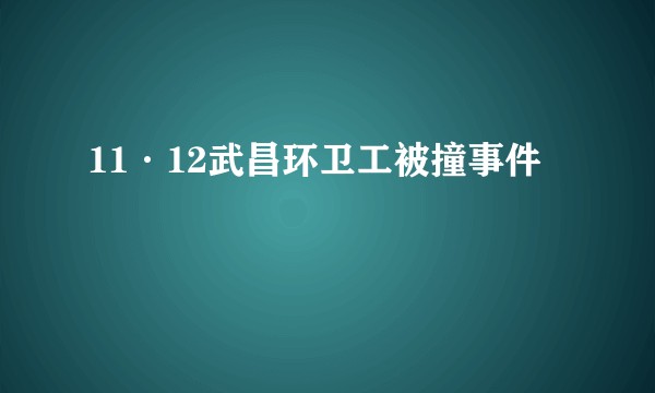 11·12武昌环卫工被撞事件