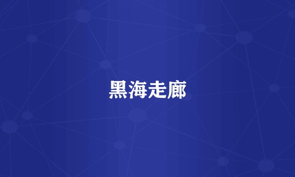 黑海走廊