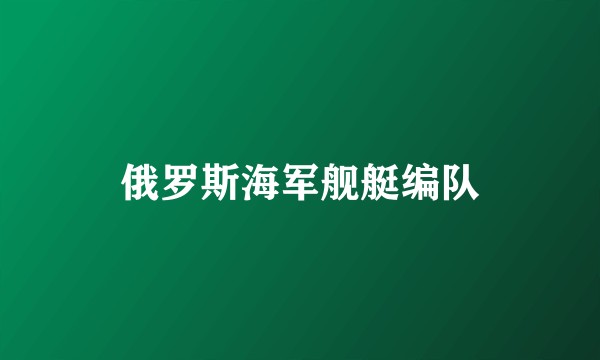 俄罗斯海军舰艇编队