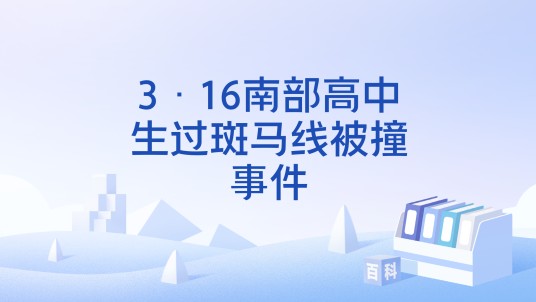 3·16南部高中生过斑马线被撞事件